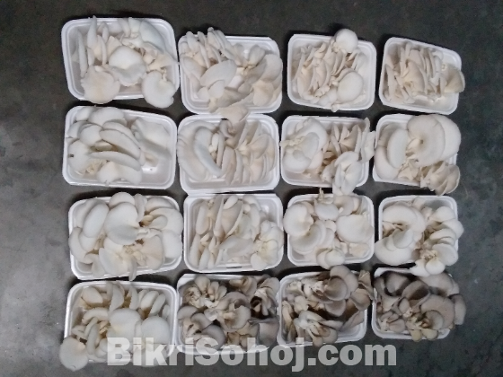 ফ্রেশ মাশরুম,শুকনা মাশরুম, গুরা মাশরুম।